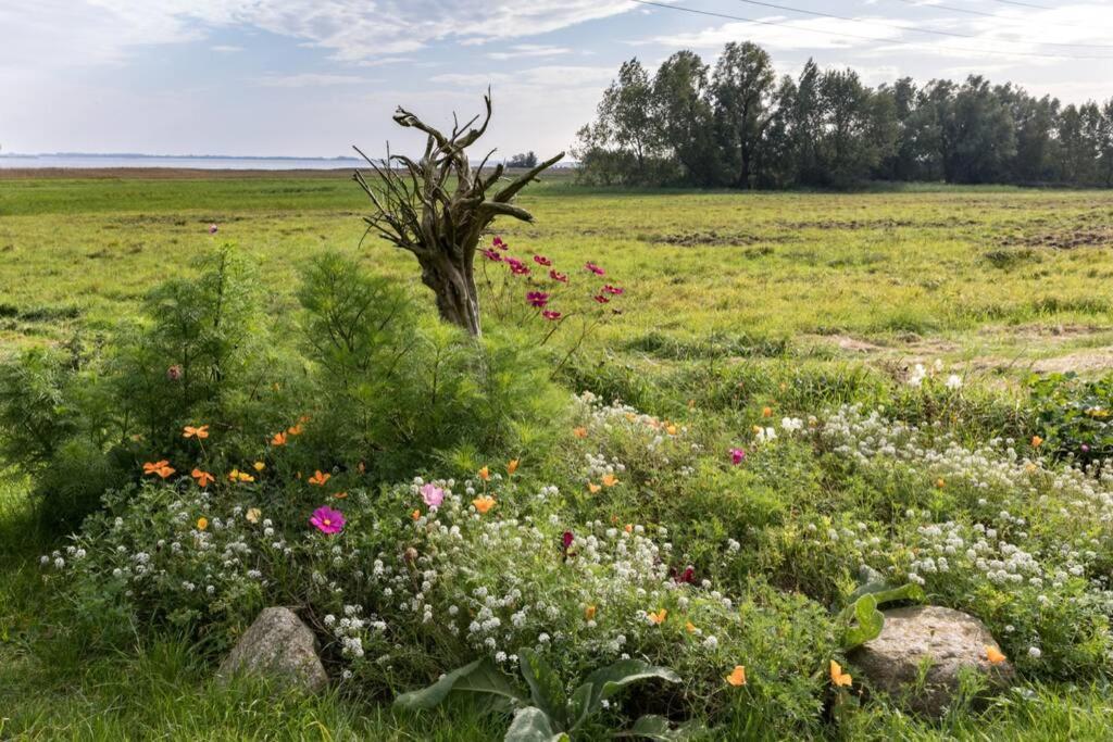Leuchtturmblick - Ferienwohnung Fuer Die Familie In Grieben Insel Hiddensee Extérieur photo